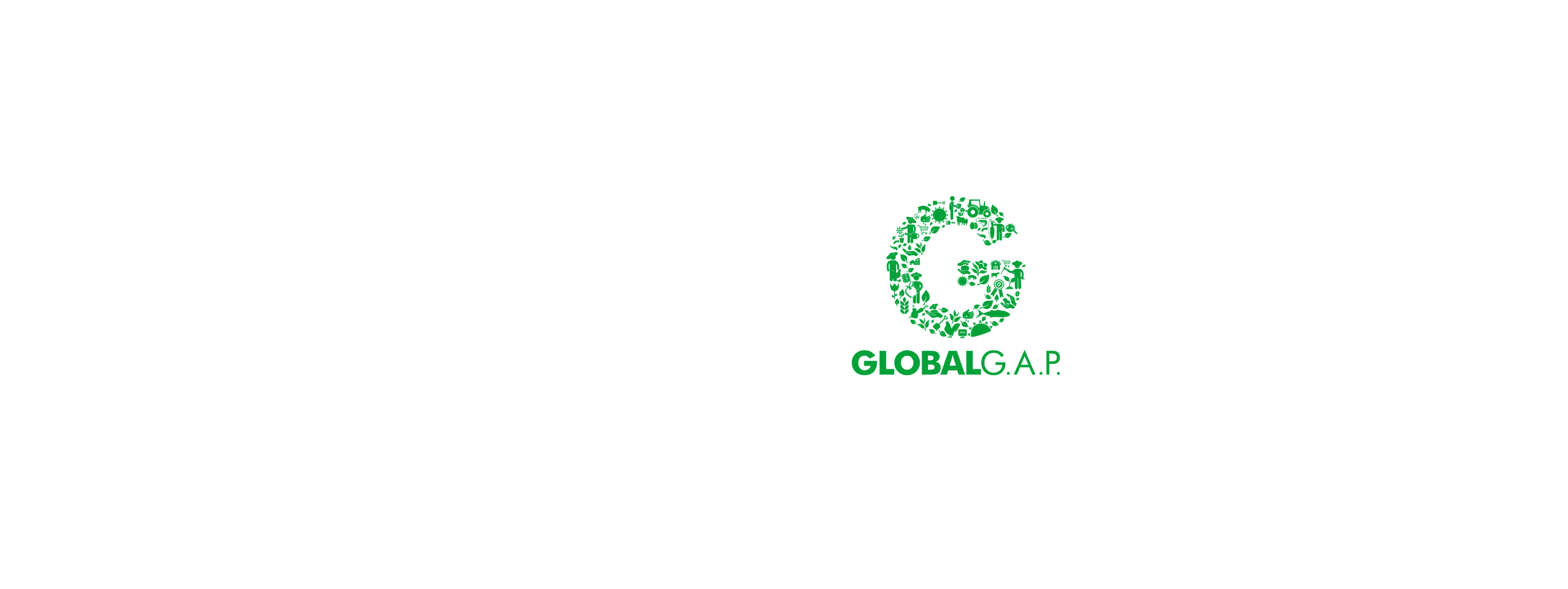 Global Gap